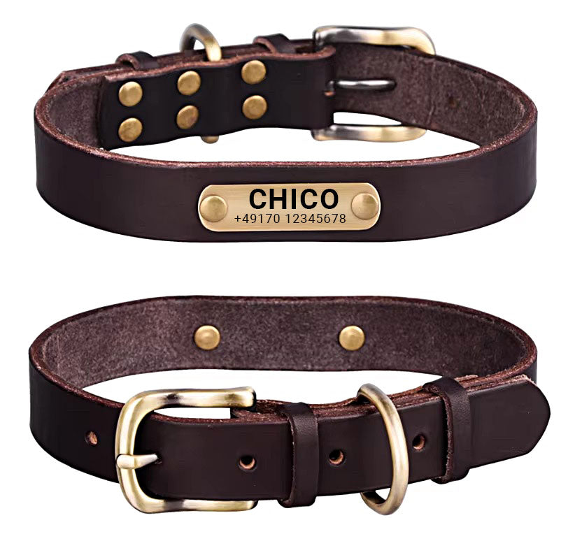 Genuine leather dog collar with brass buckle in four colors and free engraving of name and phone number
