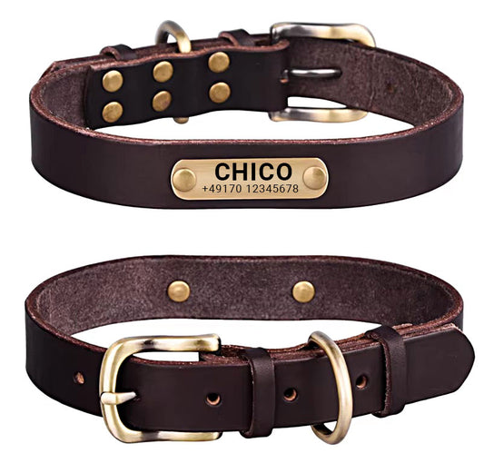 Genuine leather dog collar with brass buckle in four colors and free engraving of name and phone number