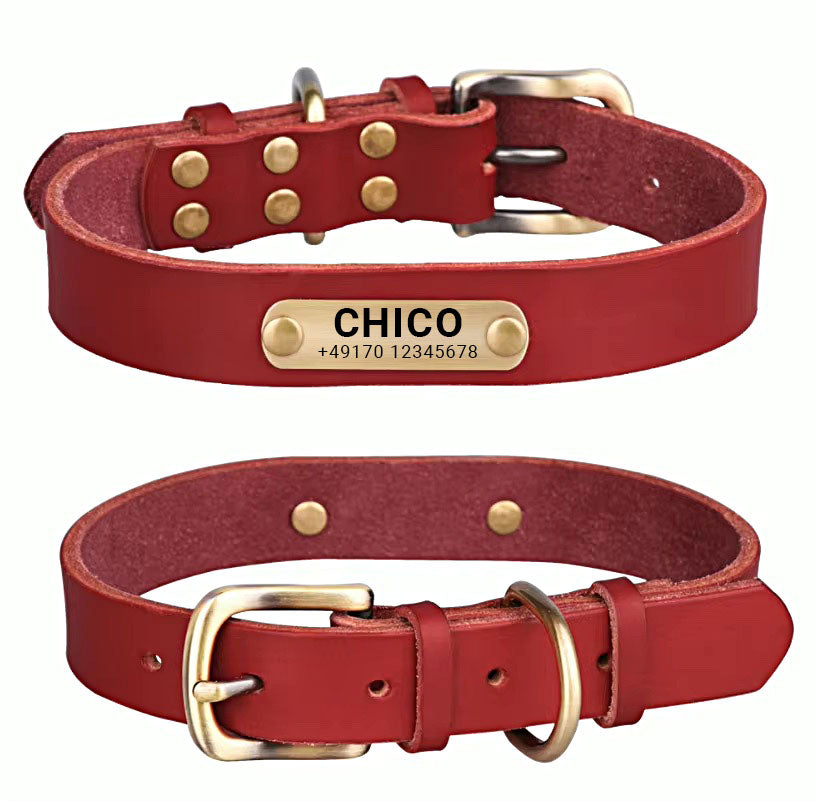 Genuine leather dog collar with brass buckle in four colors and free engraving of name and phone number