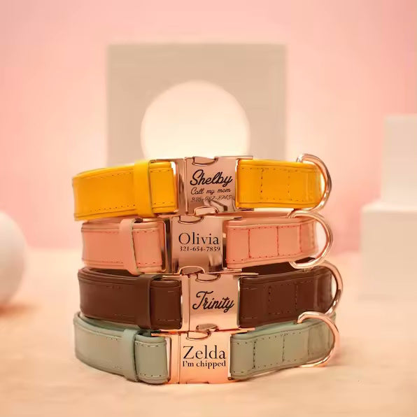Vegan dog collar with name and phone number in strong colors