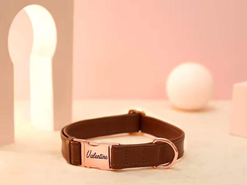 Vegan dog collar with name and phone number in strong colors
