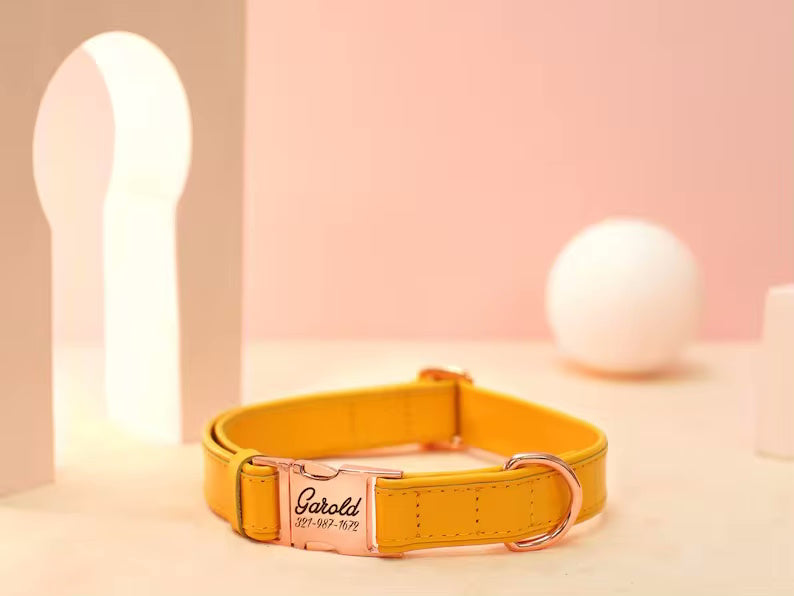 Vegan dog collar with name and phone number in strong colors