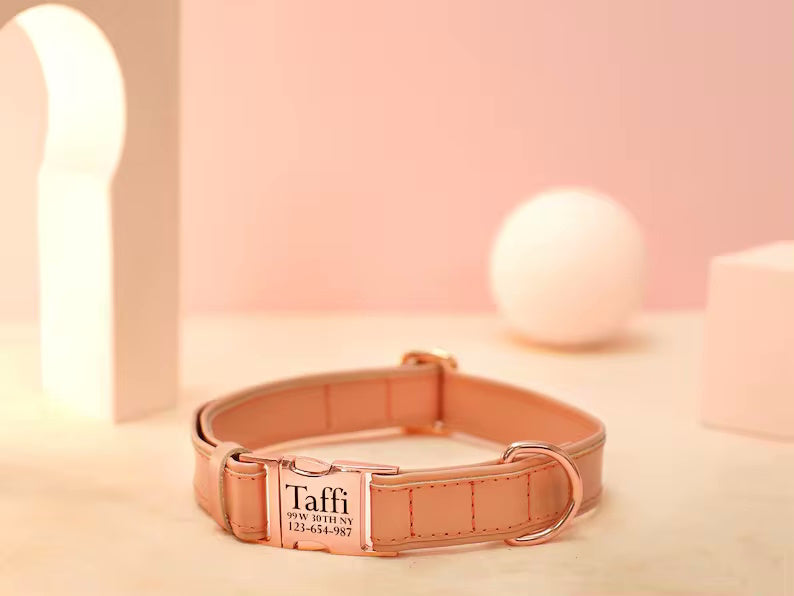 Vegan dog collar with name and phone number in strong colors