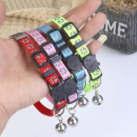 Cat collar engraved with name and telephone number