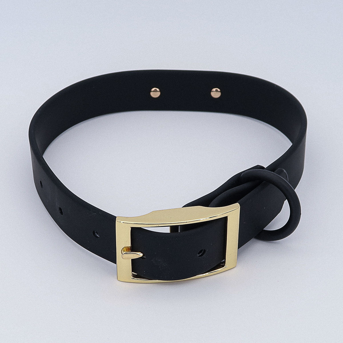 Biothane collar