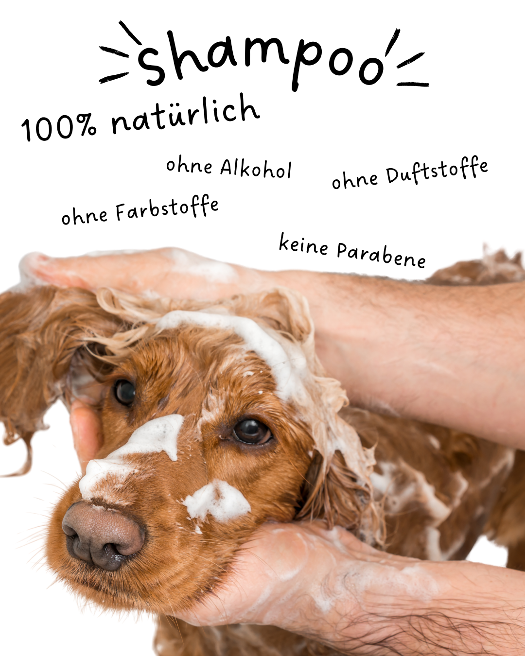 Riolino Shiny Fur Shampoo - Gentle care for a shiny coat