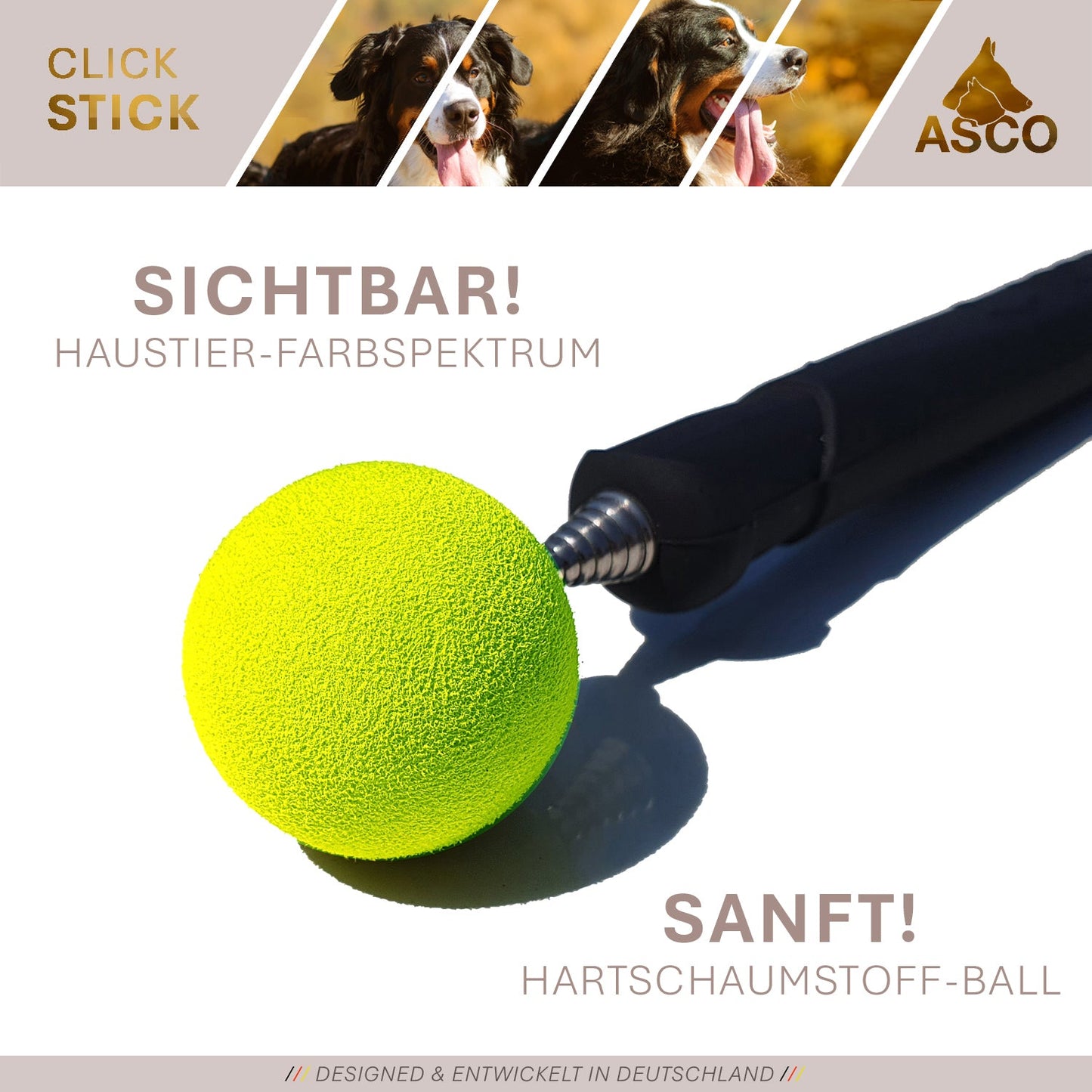 ASCO ClickStick - Target stick with detachable premium clicker - Target stick for dogs cats clicker training - Extendable target stick with extra clicker - Target stick for target training
