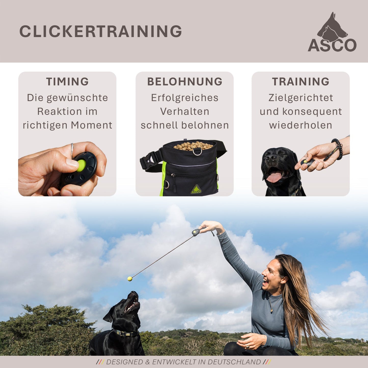 ASCO ClickStick - Target stick with detachable premium clicker - Target stick for dogs cats clicker training - Extendable target stick with extra clicker - Target stick for target training