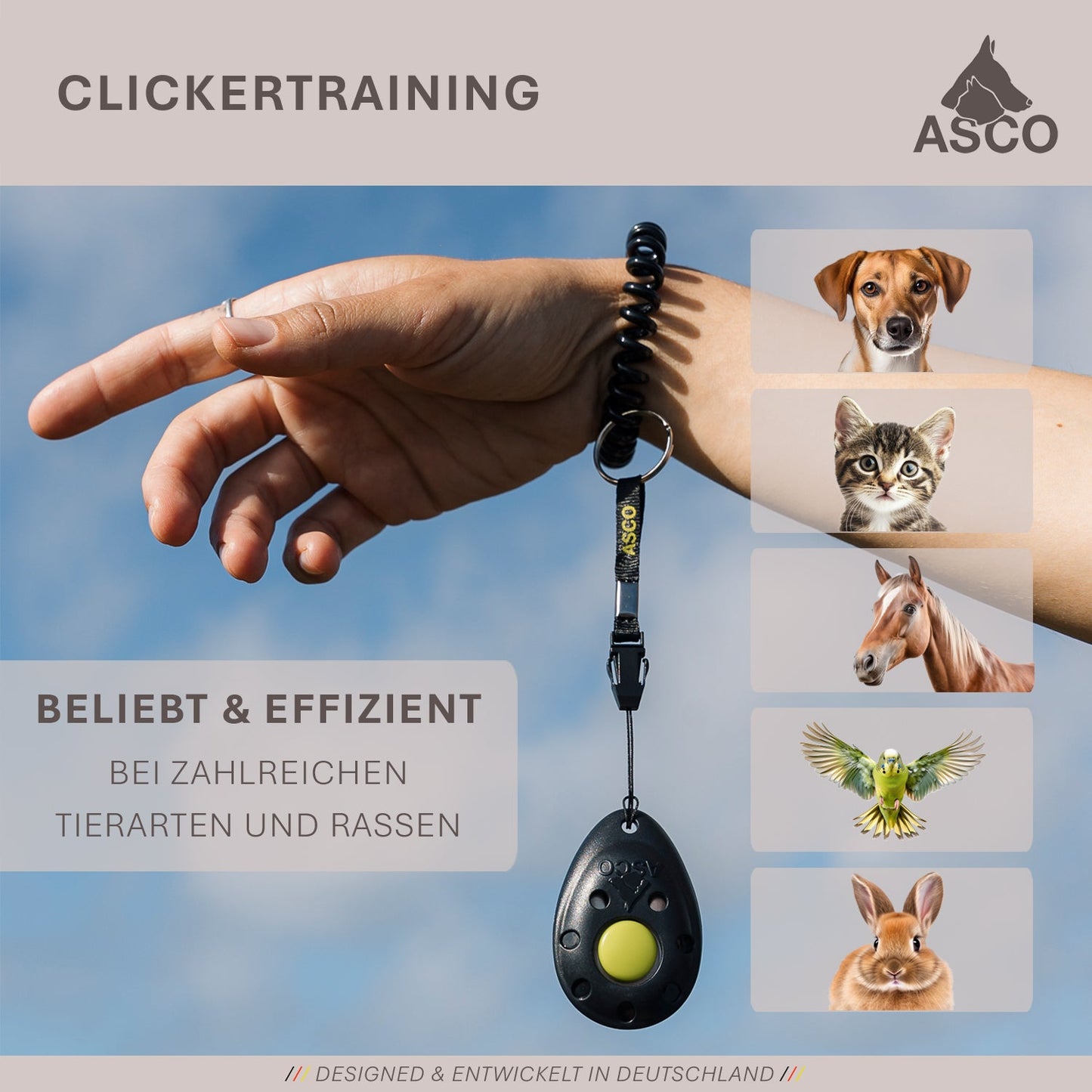 ASCO Finger Clicker - Clicker training premium clicker for dogs, cats, horses