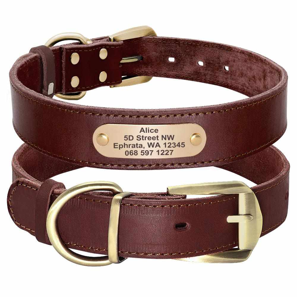 Edles Lederhalsband mit Gravur für große Hunde