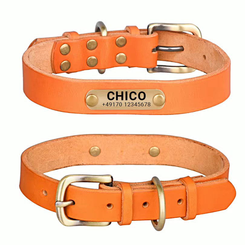 Genuine leather dog collar with brass buckle in four colors and free engraving of name and phone number