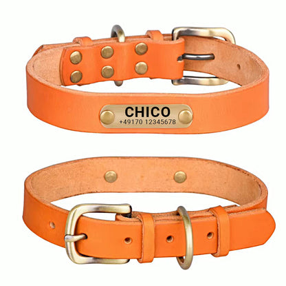Genuine leather dog collar with brass buckle in four colors and free engraving of name and phone number
