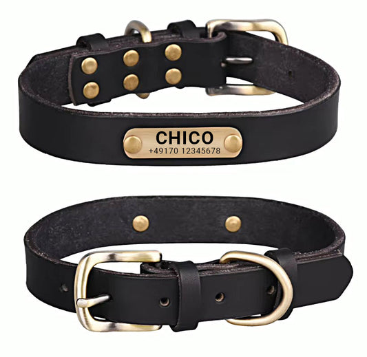 Genuine leather dog collar with brass buckle in four colors and free engraving of name and phone number