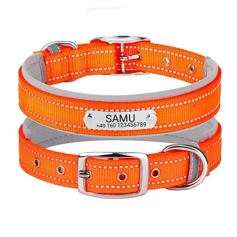 Engraved dog collar "Samu" with reflective safety stitching. Personalization with name and phone