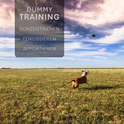 ASCO dog dummy - retrieving and snack dummy (21x7 cm)