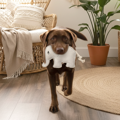 BUDDY. Dog toy made of leather "Elephant" 