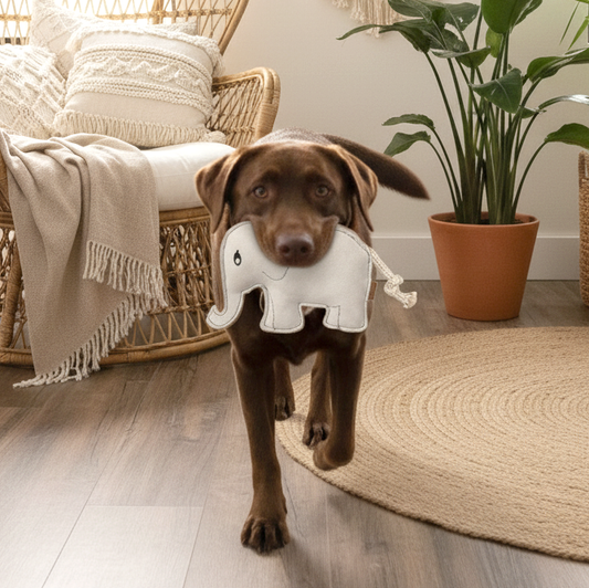 BUDDY. Dog toy made of leather "Elephant" 