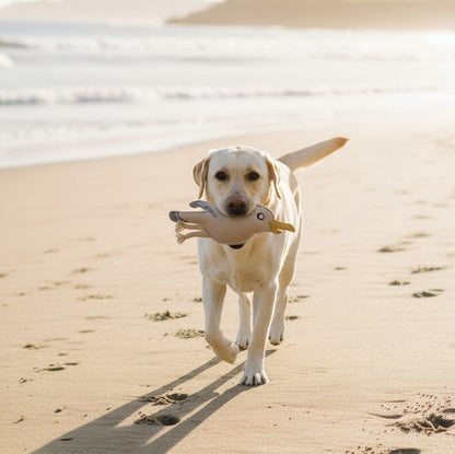 BUDDY. Dog toy made of leather "Seagull" 