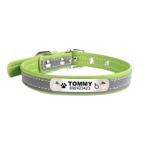 Dog collar engraved with name and phone. Reflective